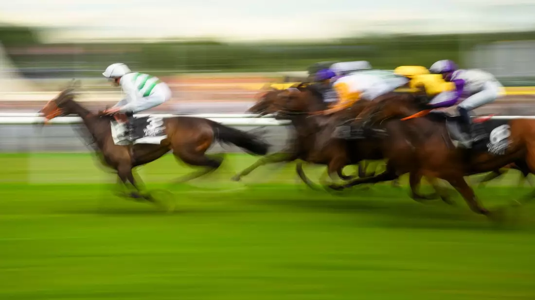 Mit Plänen für höhere Wettsteuern bringt die Pariser Regierung die Reitsportbranche gegen sich auf (Archivbild). - Bild: Gregor Fischer/dpa