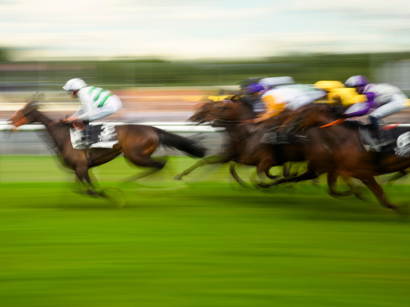 Mit Plänen für höhere Wettsteuern bringt die Pariser Regierung die Reitsportbranche gegen sich auf (Archivbild). - Foto: Gregor Fischer/dpa