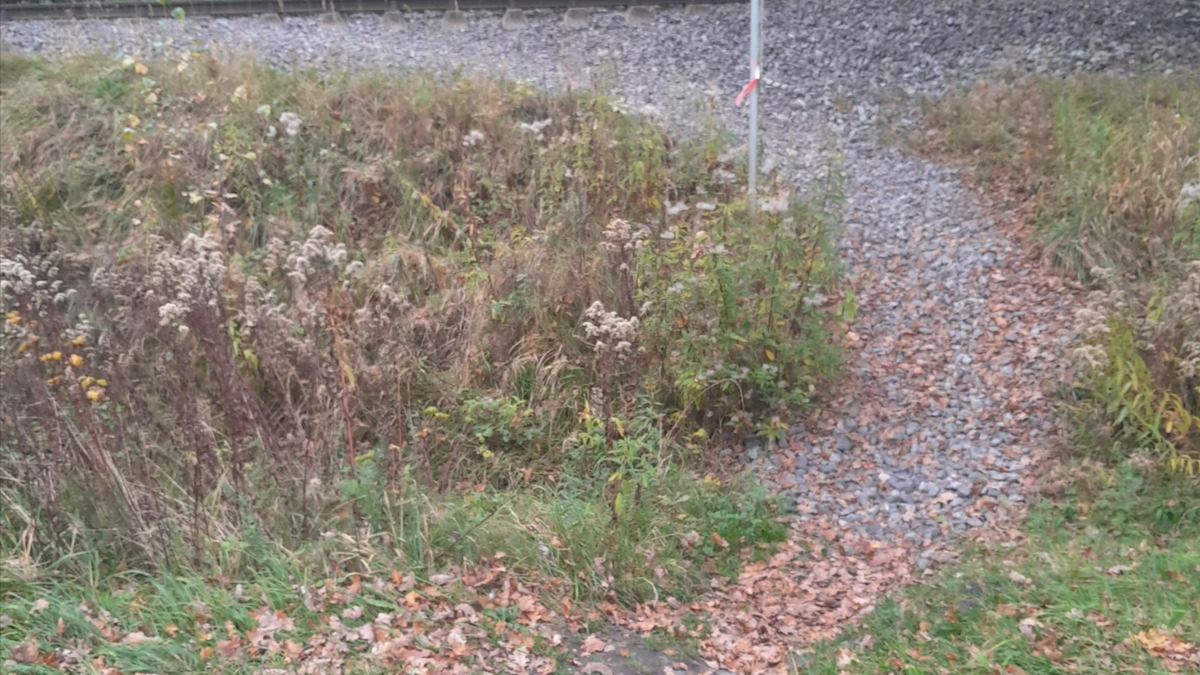 BPOL-BadBentheim: Gefährliche Abkürzung über die Gleise - Foto: presseportal.de