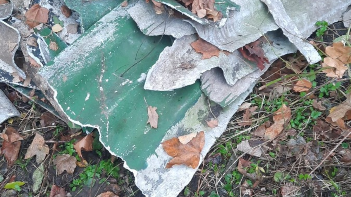POL-SE: Wedel - Entsorgung von asbesthaltigen Dachplatten - Polizei sucht Zeugen - Foto: presseportal.de