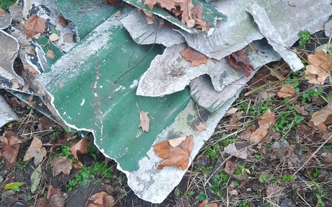 POL-SE: Wedel - Entsorgung von asbesthaltigen Dachplatten - Polizei sucht Zeugen - Foto: presseportal.de