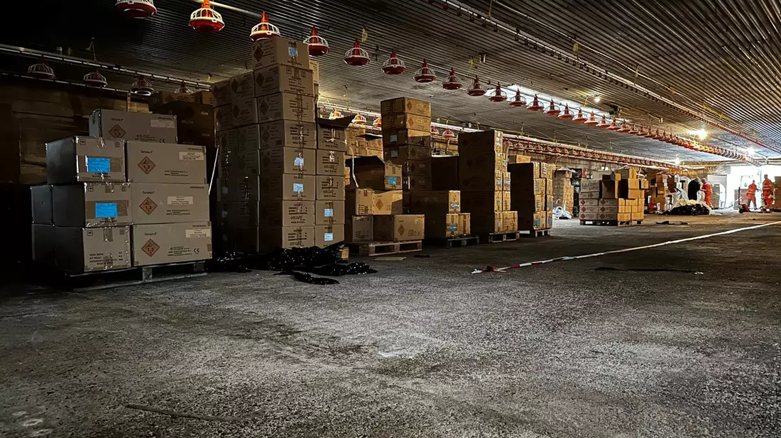 POL-EL: Erfolgreiche grenzüberschreitende Zusammenarbeit führt zur Sicherstellung illegaler Profifeuerwerkskörper in Millionenwert - Bild: presseportal.de