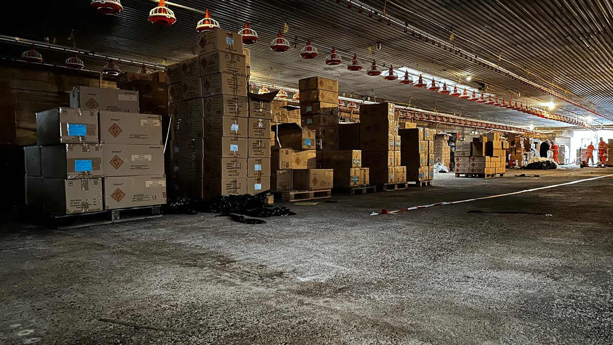 POL-EL: Erfolgreiche grenzüberschreitende Zusammenarbeit führt zur Sicherstellung illegaler Profifeuerwerkskörper in Millionenwert - Foto: presseportal.de