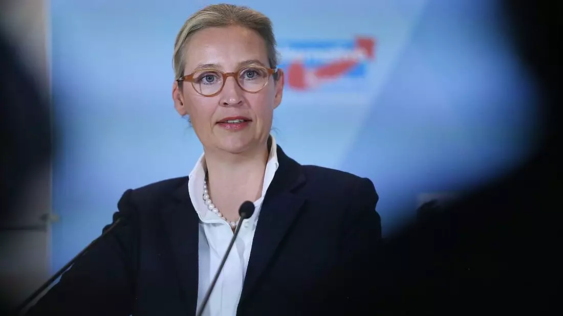 Alice Weidel am 07.11.2024 - Bild: über dts Nachrichtenagentur