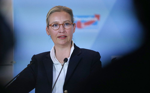 Alice Weidel am 07.11.2024 - Foto: über dts Nachrichtenagentur