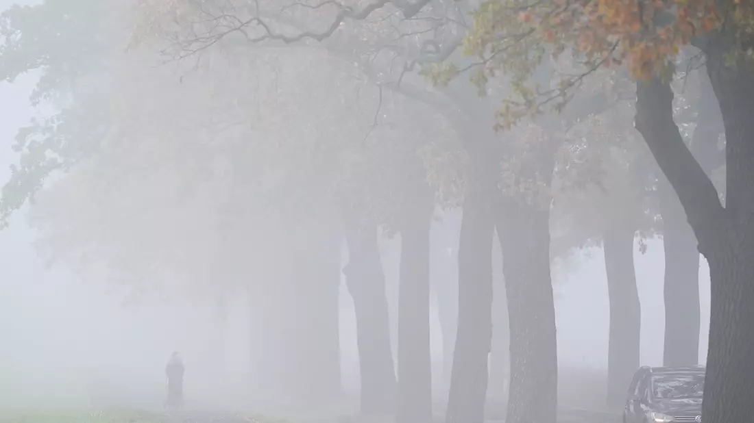 Das Wetter bleibt am Wochenende oft grau. (Archivbild)  - Bild: Patrick Pleul/dpa