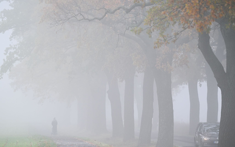 Das Wetter bleibt am Wochenende oft grau. (Archivbild)  - Foto: Patrick Pleul/dpa