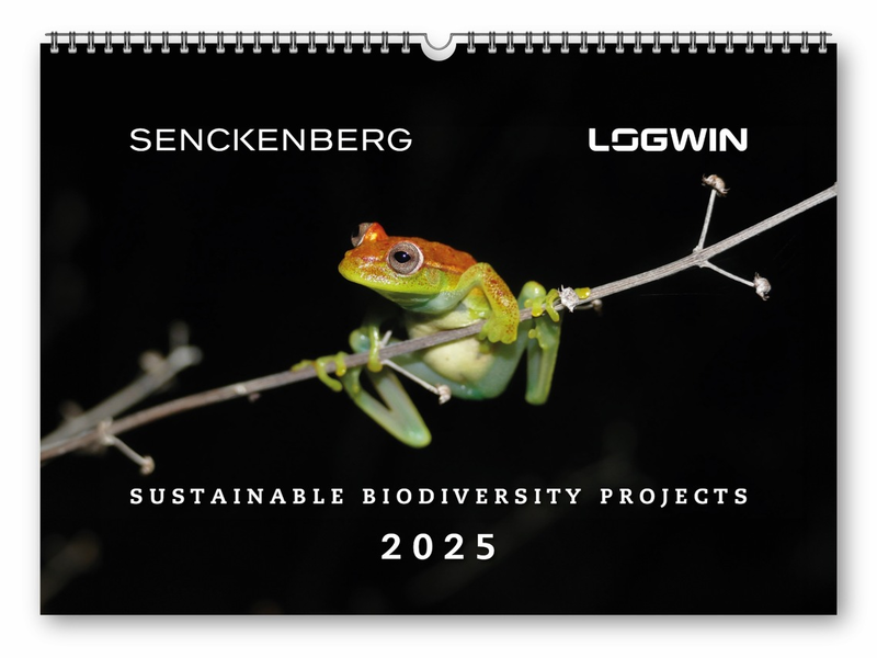 Logwin AG und Senckenberg Gesellschaft für Naturforschung präsentieren erstmalig gemeinsamen Biodiversitäts-Kalender 2025 - Foto: presseportal.de