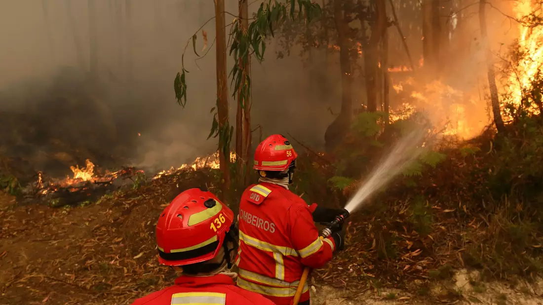 Die Zahl der Waldbrände wächst mit dem Klimawandel (Archivbild) - Bild: Bruno Fonseca/AP