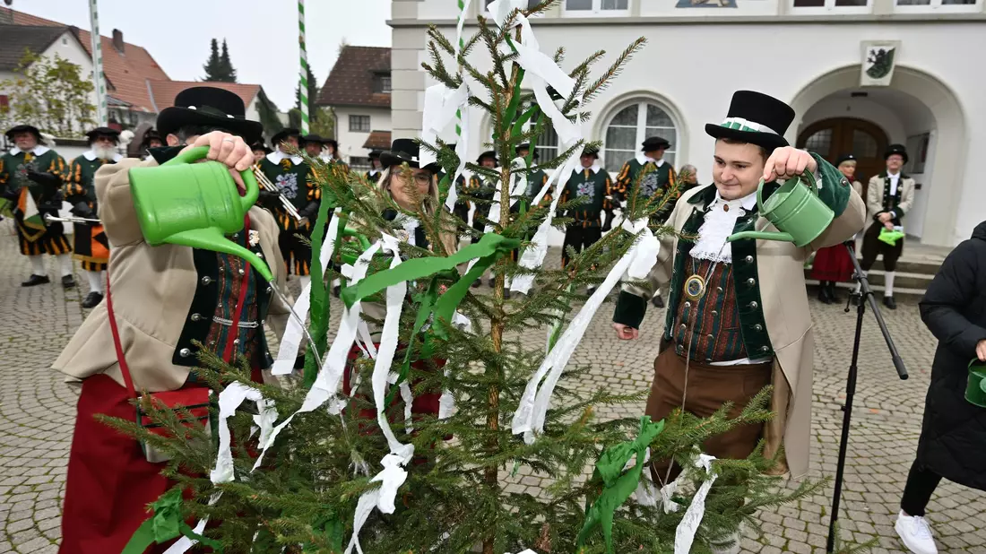  Im oberschwäbischen Kißlegg stand das Gießen des kleinen Narrenbaums an. - Bild: Felix Kästle/dpa