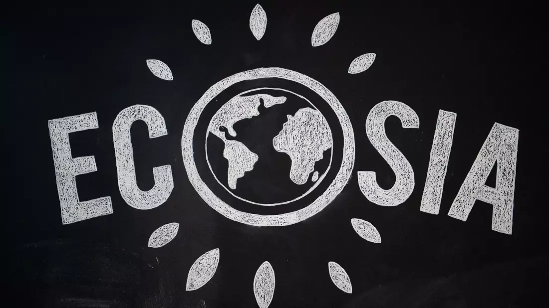 Zusammen mit der Suchmaschine Qwant aus Frankreich will das Berliner Start-up Ecosia einen Suchmaschinennindex aufbauen, der ohne Google und Bing auskommt. - Bild: Arne Immanuel Bänsch/dpa