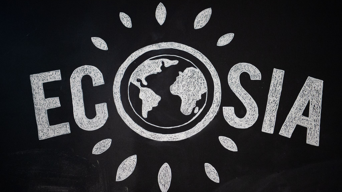 Zusammen mit der Suchmaschine Qwant aus Frankreich will das Berliner Start-up Ecosia einen Suchmaschinennindex aufbauen, der ohne Google und Bing auskommt. - Foto: Arne Immanuel Bänsch/dpa