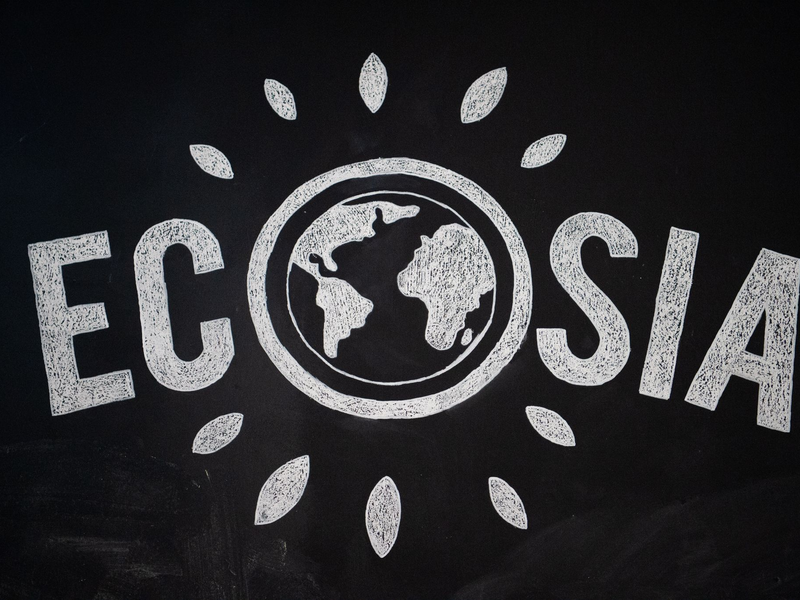 Zusammen mit der Suchmaschine Qwant aus Frankreich will das Berliner Start-up Ecosia einen Suchmaschinennindex aufbauen, der ohne Google und Bing auskommt. - Foto: Arne Immanuel Bänsch/dpa