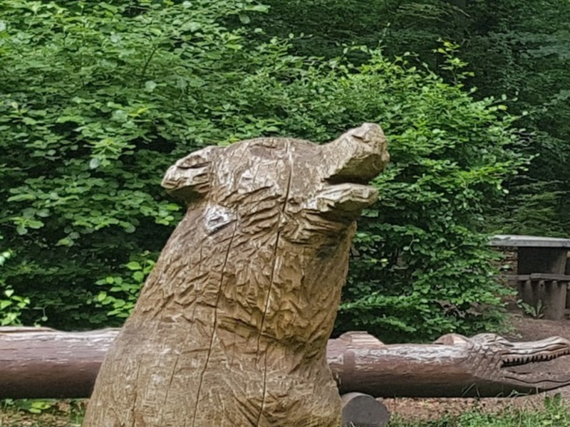 POL-NOM: Diebstahl einer Holzfigur - Foto: presseportal.de