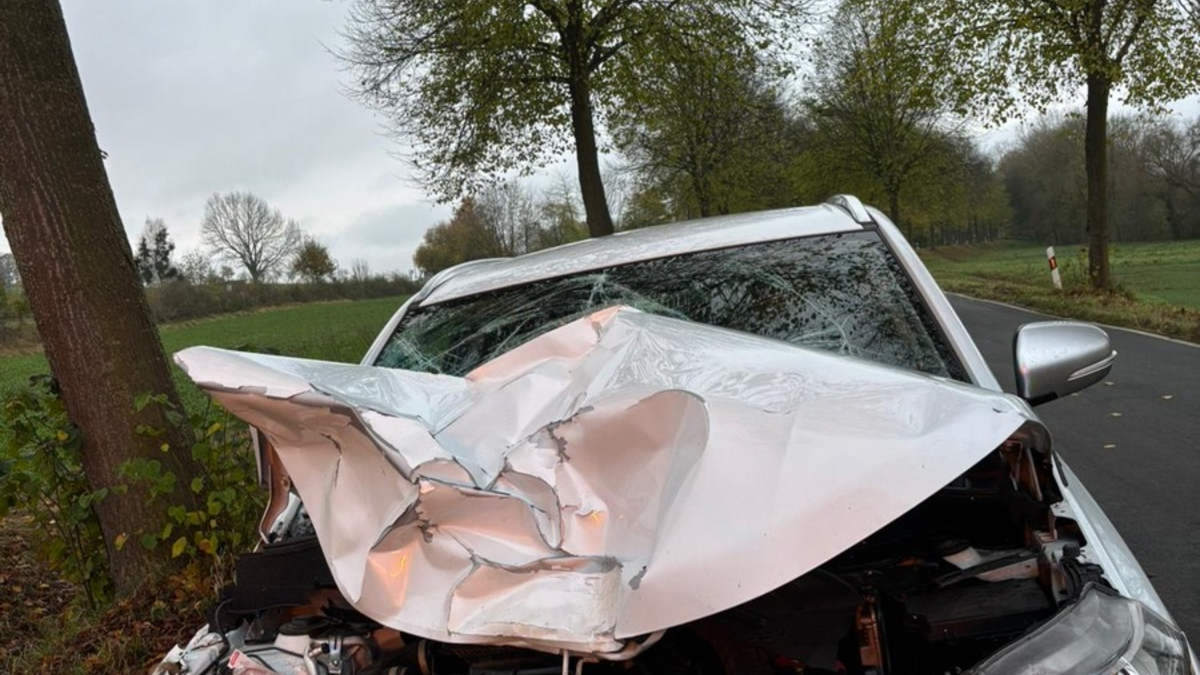 POL-NOM: Unfall mit einem Rind - Foto: presseportal.de