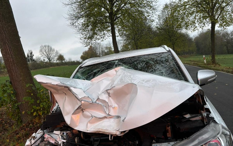 POL-NOM: Unfall mit einem Rind - Foto: presseportal.de