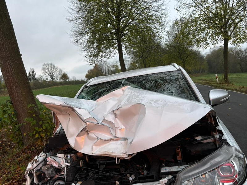 POL-NOM: Unfall mit einem Rind - Foto: presseportal.de