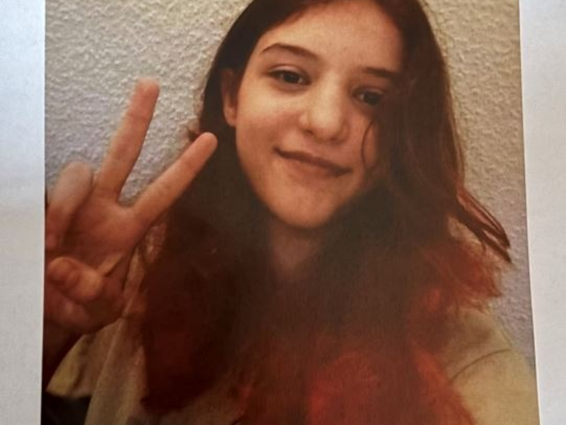 POL-HH: 241112-5. Vermisstenfahndung nach 12-jährigem Mädchen aus Hamburg-Wilhelmsburg - Foto: presseportal.de