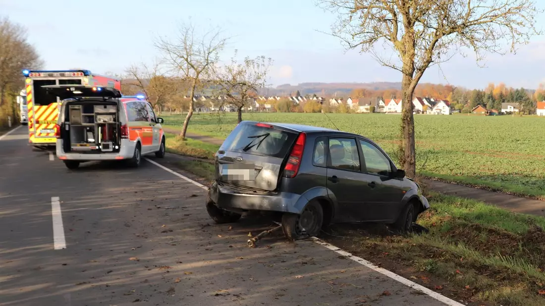 POL-HX: Ford kommt von der Straße ab und landet im Graben - Bild: presseportal.de