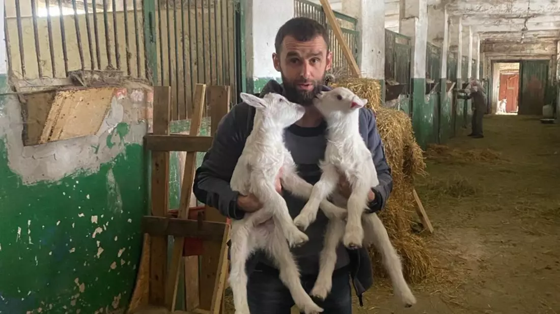 1.000 Tage Krieg: wie PETA und Animal Rescue Kharkiv den oft vergessenen Opfern in der Ukraine helfen - Bild: presseportal.de