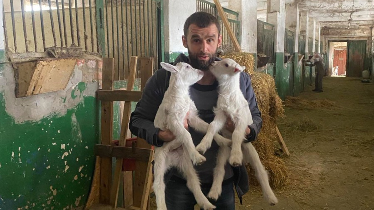 1.000 Tage Krieg: wie PETA und Animal Rescue Kharkiv den oft vergessenen Opfern in der Ukraine helfen - Foto: presseportal.de