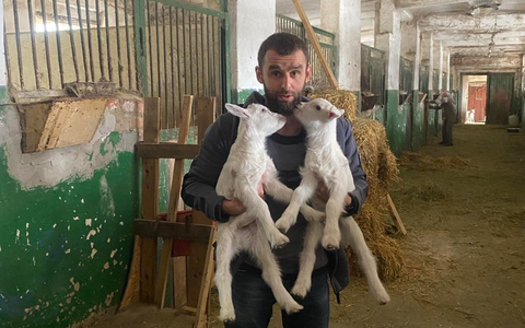 1.000 Tage Krieg: wie PETA und Animal Rescue Kharkiv den oft vergessenen Opfern in der Ukraine helfen - Foto: presseportal.de