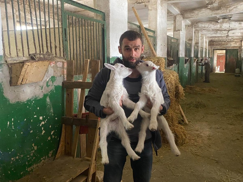 1.000 Tage Krieg: wie PETA und Animal Rescue Kharkiv den oft vergessenen Opfern in der Ukraine helfen - Foto: presseportal.de