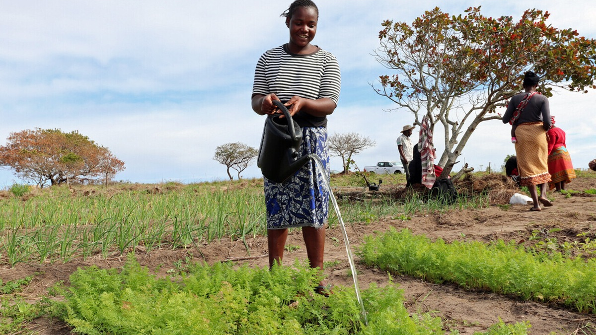 Zur Klimakonferenz in Baku warnen Hilfsorganisationen: 