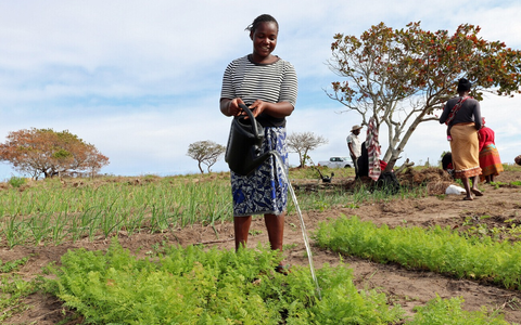 Zur Klimakonferenz in Baku warnen Hilfsorganisationen: Nicht zu handeln, ist deutlich teurer / Bündnisorganisationen erwarten von Industriestaaten mehr Gelder für Klimaanpassung - Foto: presseportal.de