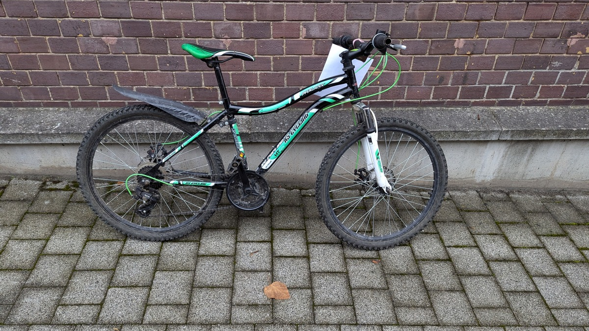 LPI-GTH: Eigentümer gesucht - Foto: presseportal.de