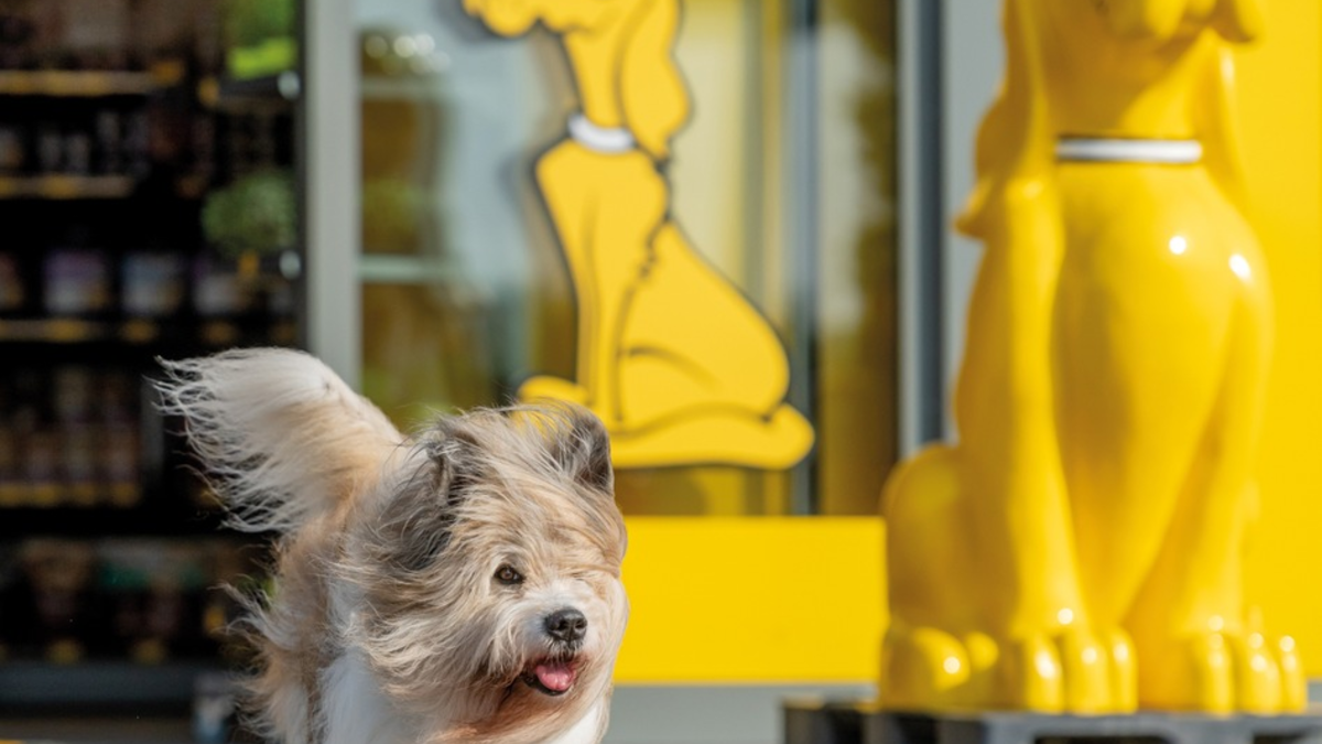 DAS FUTTERHAUS: Expansion mit erfolgreichen Franchisepartnern / Vier neue Märkte zum Jahresendspurt - Foto: presseportal.de