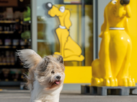 DAS FUTTERHAUS: Expansion mit erfolgreichen Franchisepartnern / Vier neue Märkte zum Jahresendspurt - Foto: presseportal.de