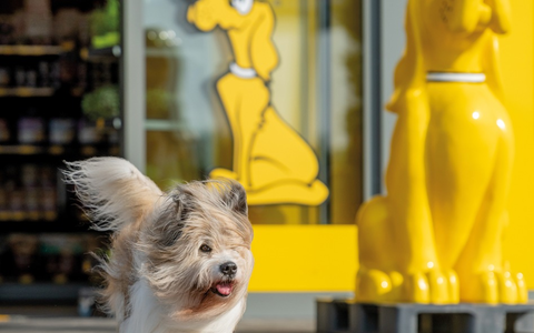 DAS FUTTERHAUS: Expansion mit erfolgreichen Franchisepartnern / Vier neue Märkte zum Jahresendspurt - Foto: presseportal.de