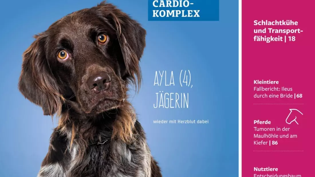 Die Praktische Tierärztin: Renommierte Fachzeitschrift benennt sich nach 105 Jahren um und wird weiblich - Bild: presseportal.de