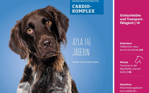 Die Praktische Tierärztin: Renommierte Fachzeitschrift benennt sich nach 105 Jahren um und wird weiblich - Foto: presseportal.de