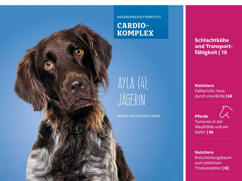 Die Praktische Tierärztin: Renommierte Fachzeitschrift benennt sich nach 105 Jahren um und wird weiblich - Foto: presseportal.de