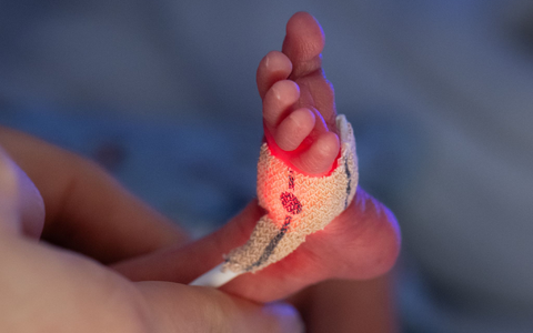 Frühchen brauchen es warm. - Foto: Boris Roessler/dpa