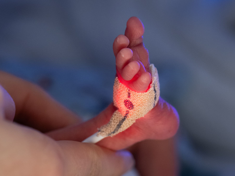 Frühchen brauchen es warm. - Foto: Boris Roessler/dpa