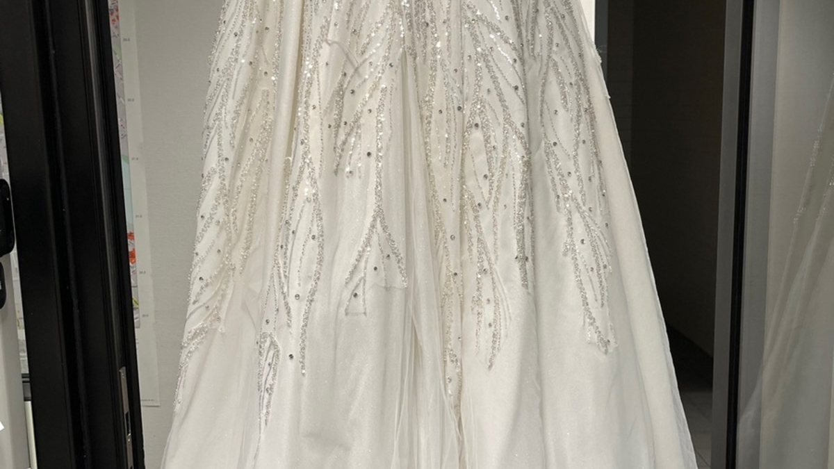 POL-BN: Update: Brautkleid in Koffer gefunden - Bonner Polizei sucht mutmaßliche Braut - Foto: presseportal.de