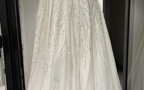 POL-BN: Update: Brautkleid in Koffer gefunden - Bonner Polizei sucht mutmaßliche Braut - Foto: presseportal.de