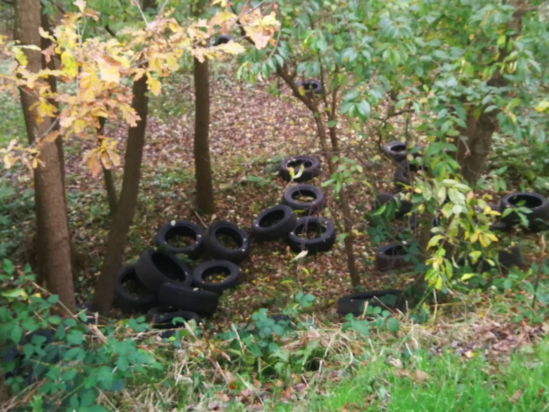 POL-CLP: Einzelmeldung aus Bakum - Foto: presseportal.de