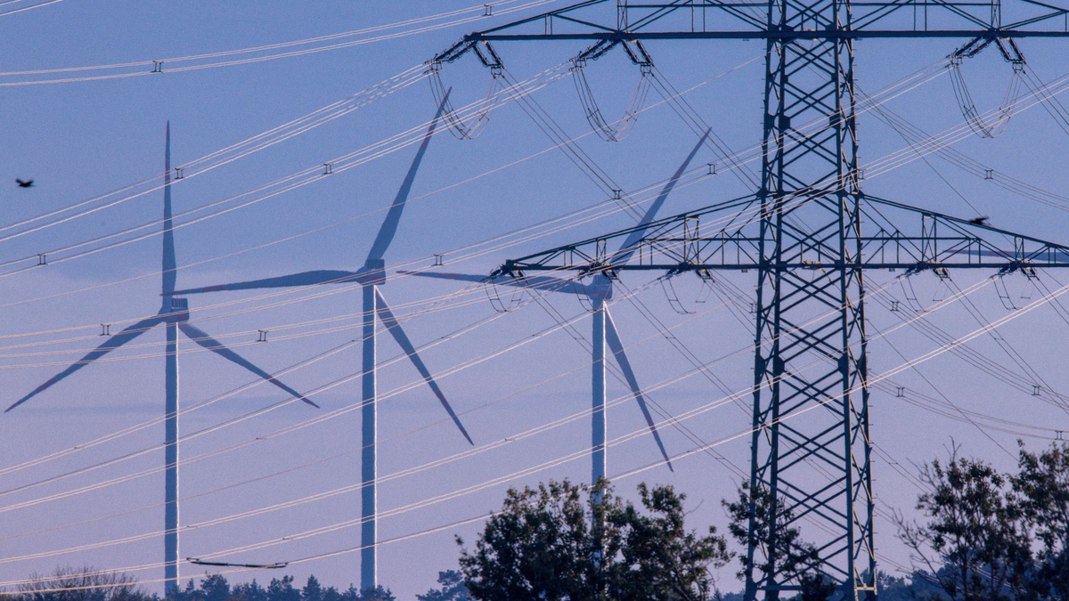 Das Verfassungsgericht entscheidet über eine wichtige Frage bei der Strompreisbremse. (Symbolbild)  - Foto: Jens Büttner/Deutsche Presse-Agentur GmbH/dpa
