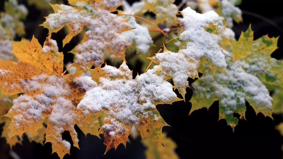 Nächste Woche zeigt sich der Frühwinter. - Bild: Karl-Josef Hildenbrand/dpa