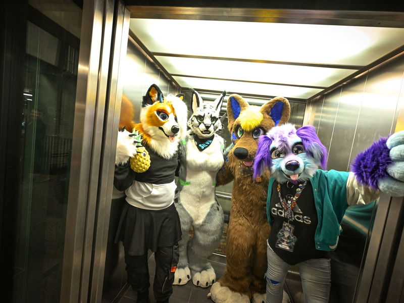 Viele AnhÀnger der Szene sind auch Teil der Queer-Community. (Archivbild) - Foto: Felix KÀstle/dpa