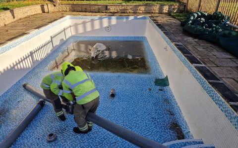 Mit einem Seilzug hievten die Einsatzkräfte das Tier aus dem Pool. - Foto: -/Leicestershire Fire And Rescue Service/PA Media/dpa