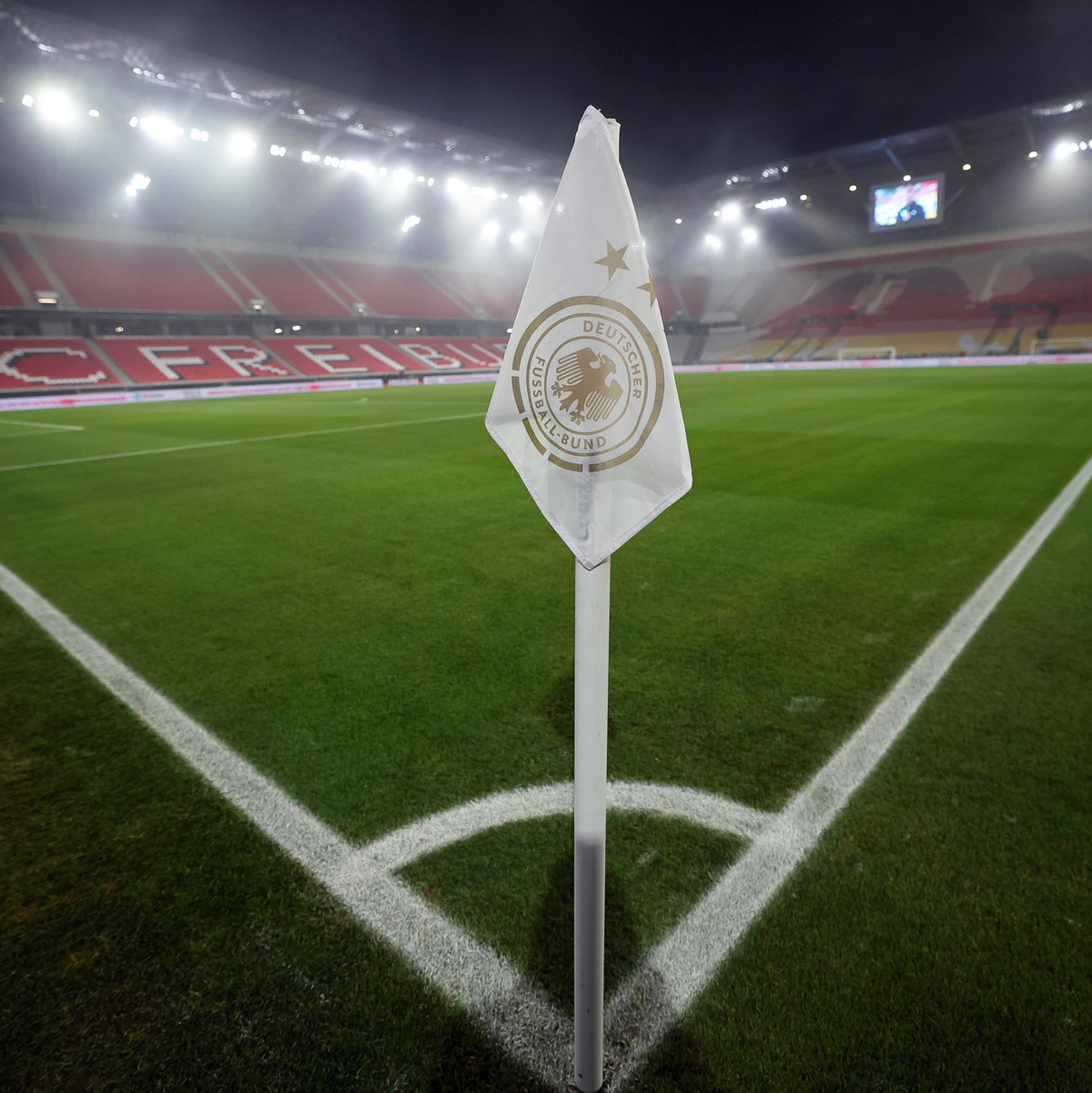 Sie haben allen Grund, sich zu freuen. - Foto: Christian Charisius/dpa