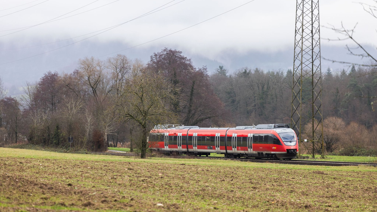 Auf rund einem Drittel des deutschen Schienennetzes können wegen fehlender Oberleitungen keine elektrischen Züge fahren. (Archivbild) - Foto: Philipp von Ditfurth/dpa