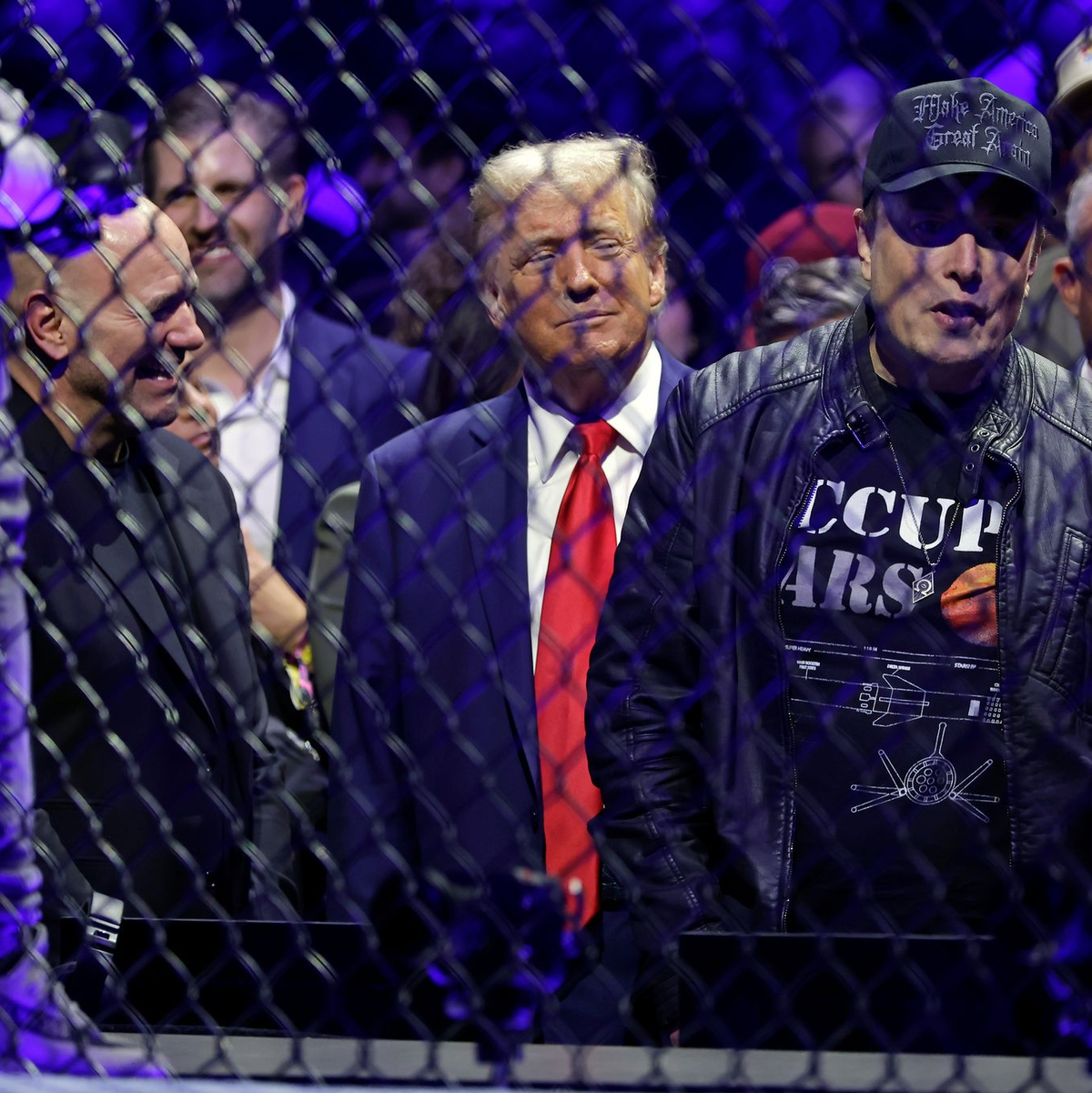 Trump und Musk bei Kampfsport-Spektakel in New York. - Foto: Adam Hunger/AP/dpa