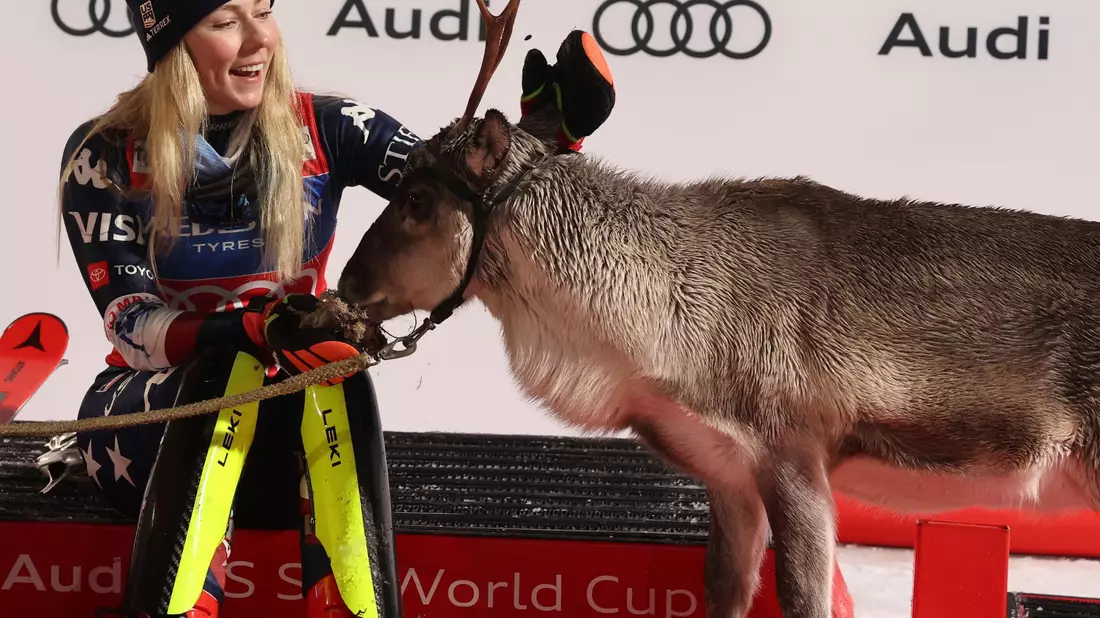 Als Siegerin bekommt Mikaela Shiffrin wieder die Patenschaft für ein Rentier. - Bild: Marco Trovati/AP