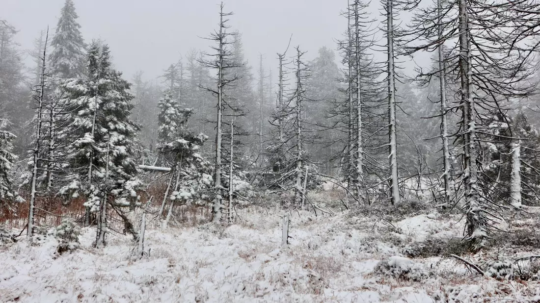 Auch auf dem Brocken hat es geschneit. (Foto Aktuell vom 17.11.) - Bild: Matthias Bein/dpa
